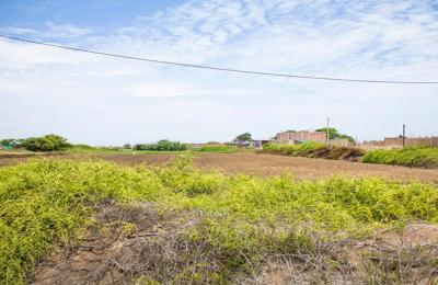 VENTA DE TERRENO DE 9315 M2 EN CARRETERA A PIMENTEL